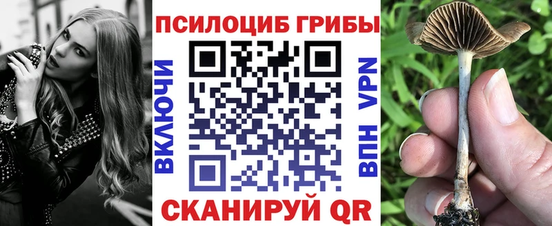Псилоцибиновые грибы мицелий  Купить где  Ясный 