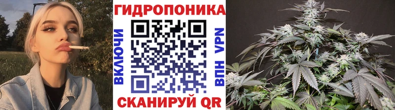 Бошки Шишки планчик Купить закладки Ясный